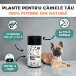 Supliment pe bază de plante pentru o bună digestie Divus - imagine 2