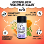 Supliment pe bază de plante pentru articulații sănătoase Divus - imagine 3
