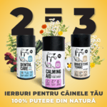 Suplimente combinate pe bază de plante - imagine 2