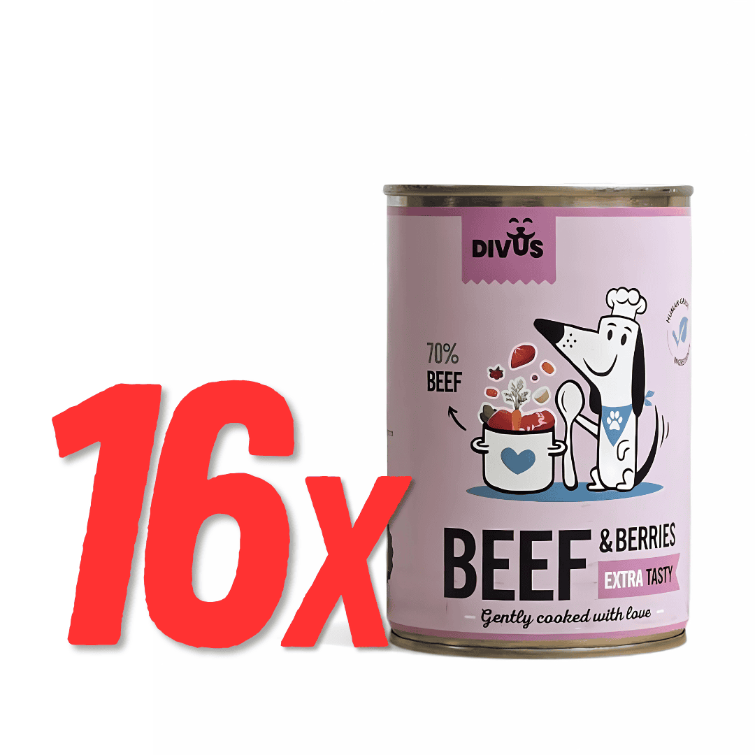 Slow-cooked beef cans – 4 units