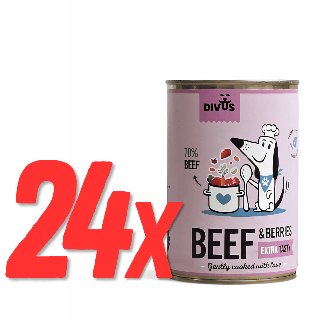 Slow-cooked beef cans – 8 units