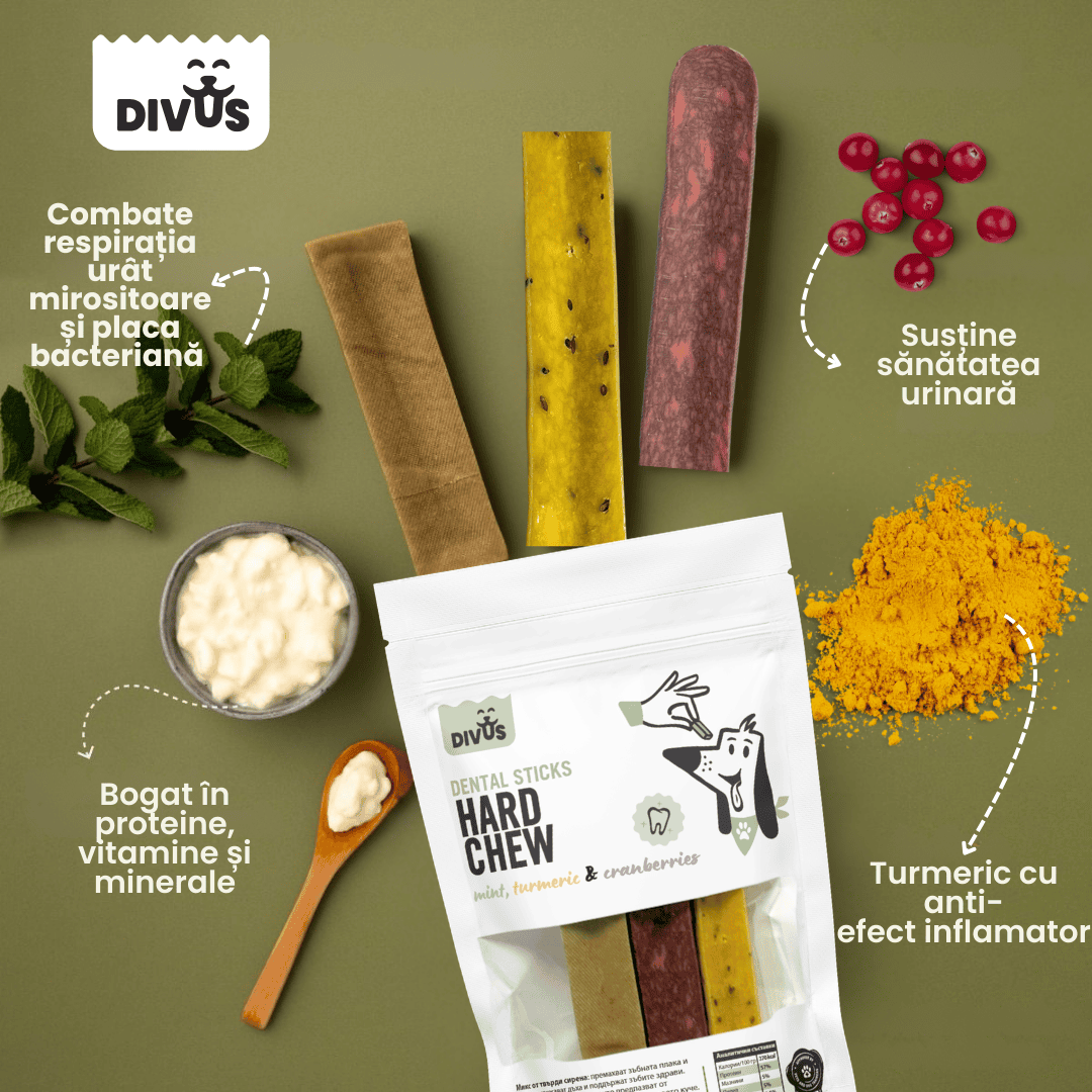 Himalayan cheese with cranberry