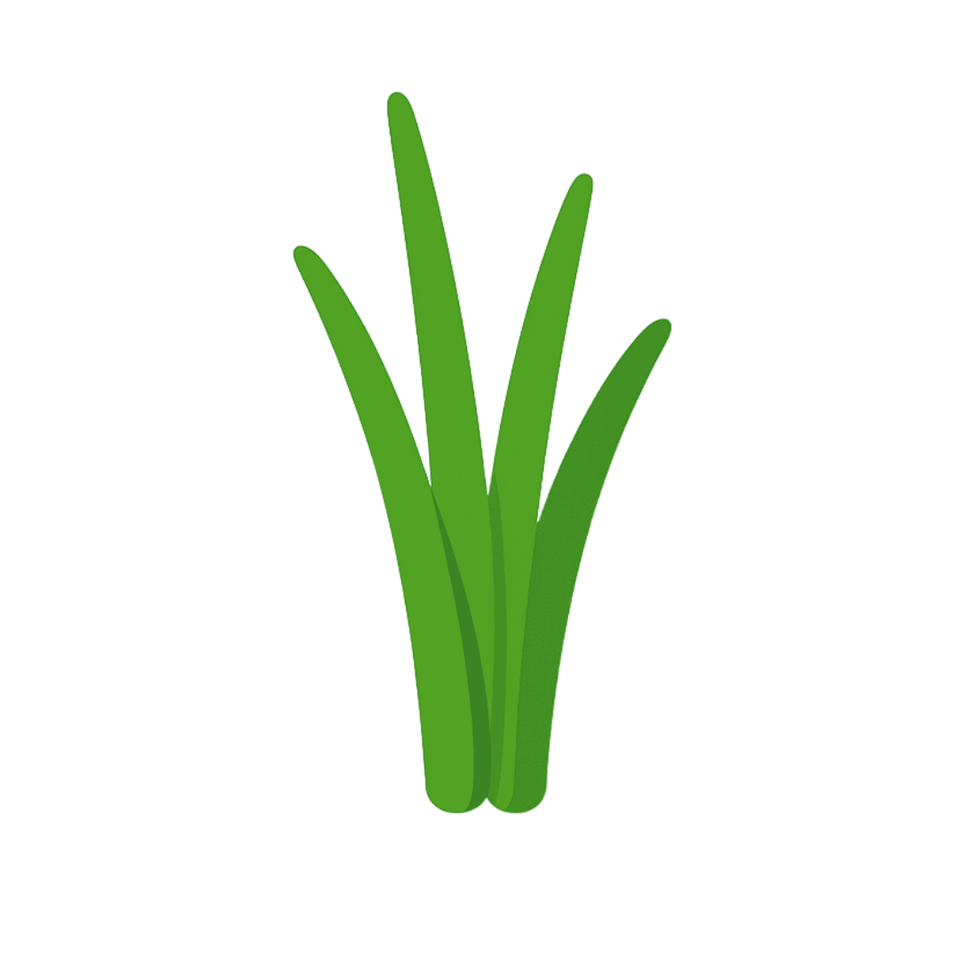 Lemongrass