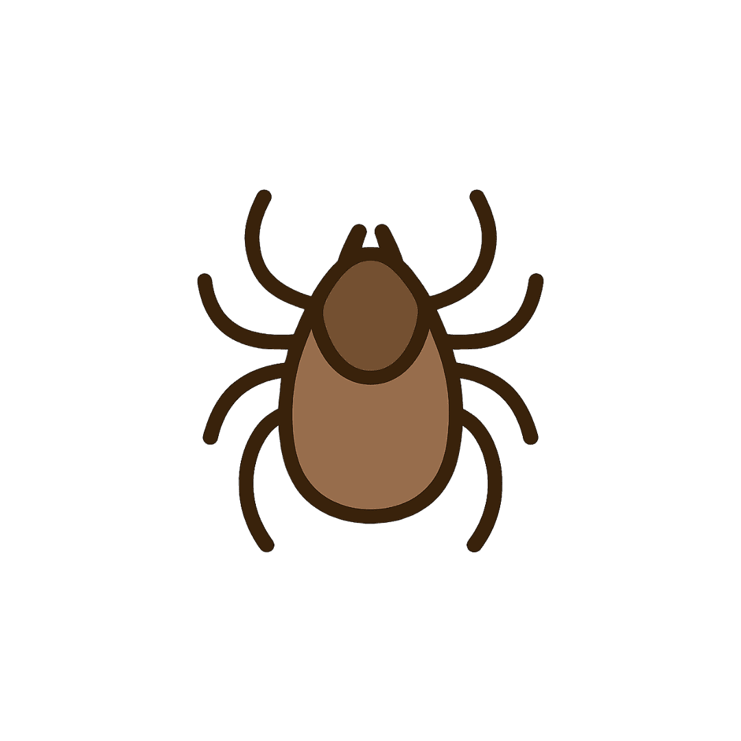 Mite