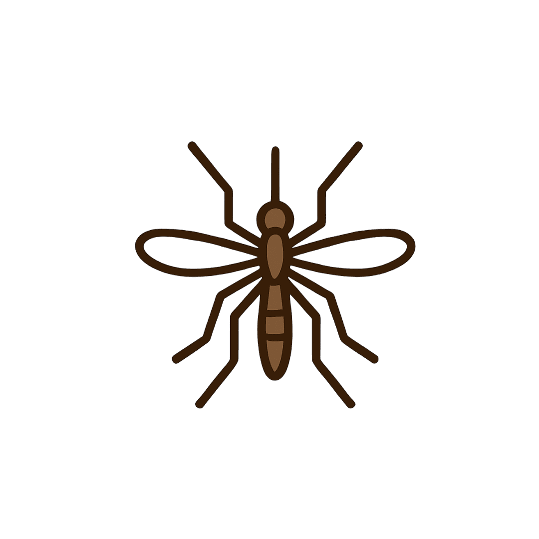 Mosquito