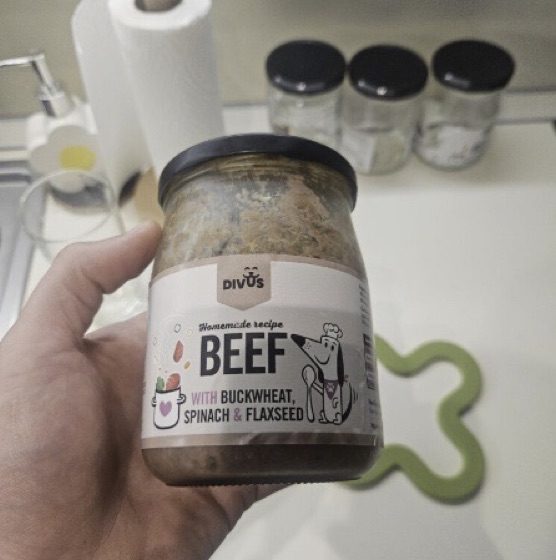 Borcan DIVUS cu vită în mână